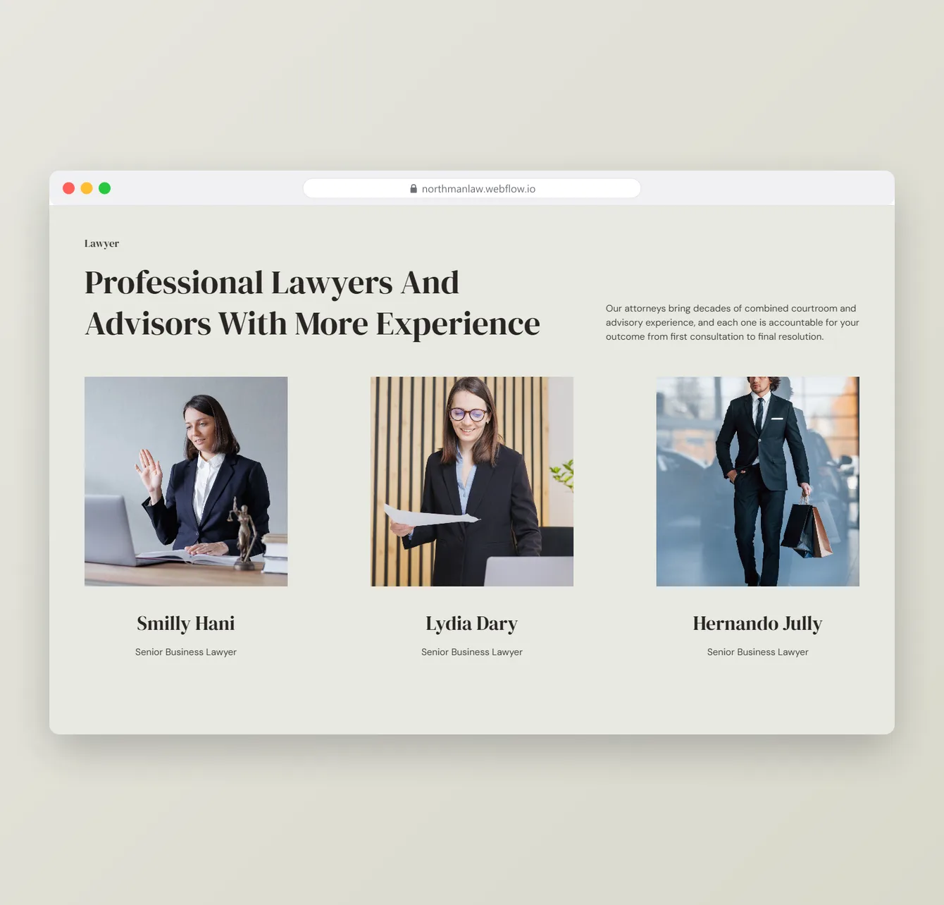 Northman law firm website – screen 2